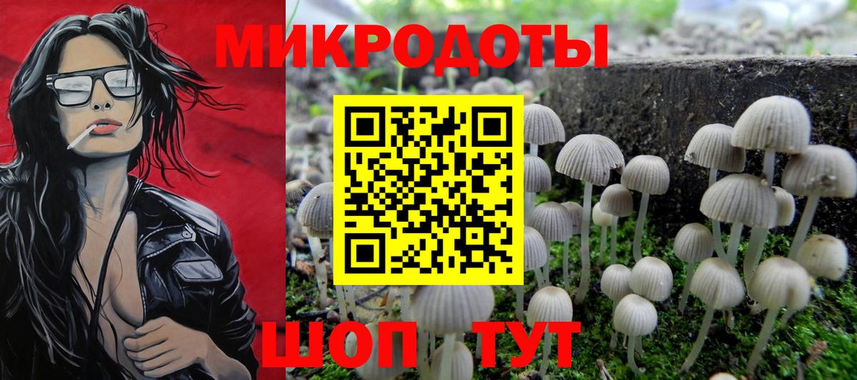 Саранск  Галлюциногенные грибы Psilocybe  Вход с VPN  Галлюциногенные грибы прущие грибы 